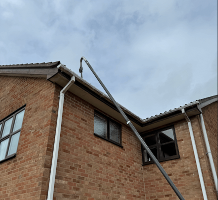roof cleaning